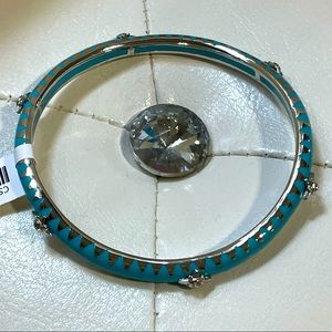 Blue Bangle